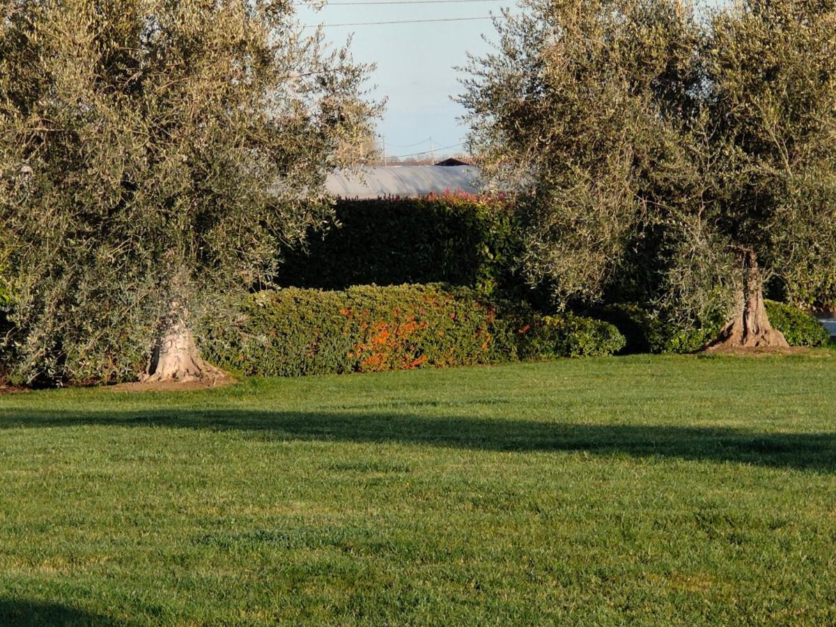 B&B Villa Letizia San Vito  Extérieur photo